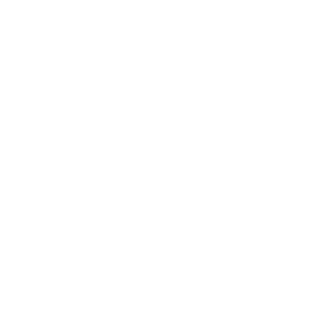 Cycle Speed Icon